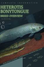 Heterotis bonytongue af Iva Novitsky