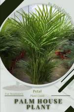 Palm House Plant af Petal Prodigy