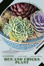 Hen and Chicks Plant af Andrey Lalko