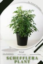 Schefflera Plant af Petal Prodigy