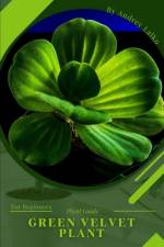 Green Velvet Plant af Andrey Lalko