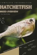 Hatchetfish af Iva Novitsky