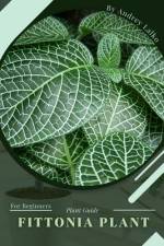 Fittonia Plant af Andrey Lalko