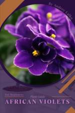 African Violets af Andrey Lalko