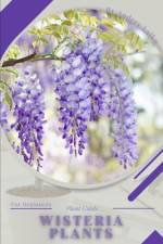 Wisteria af Andrey Lalko