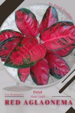 Red Aglaonema af Petal Prodigy