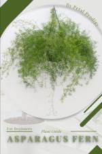 Asparagus Fern af Petal Prodigy