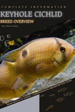Keyhole Cichlid af Iva Novitsky
