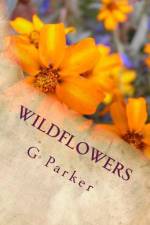 Wildflowers af G Parker