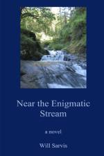Near the Enigmatic Stream af Will Sarvis