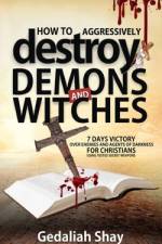 How to Aggressively Destroy Demons and Witches af Gedaliah Shay