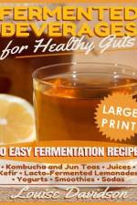 Fermented Beverages for Healthy Guts ***Large Print Edition*** af Louise Davidson
