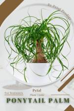 Ponytail Palm af Petal Prodigy