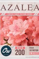 Azalea af A Arelt