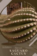 Saguaro cactus af Andrey Lalko