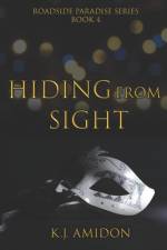 Hiding From Sight af K J Amidon