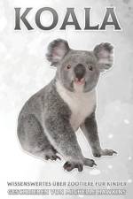 Koala af Michelle Hawkins