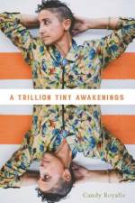 A Trillion Tiny Awakenings af Candy Royalle