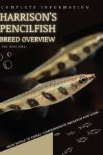 Harrison's Pencilfish af Iva Novitsky