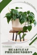 Heartleaf Philodendron af Petal Prodigy
