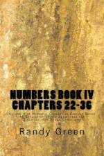 Numbers Book IV af Randy Green