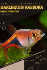 Harlequin Rasbora af Iva Novitsky