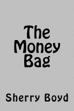 The Money Bag af Sherry Boyd