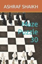 Maze Puzzle 30 af Ashraf Shaikh