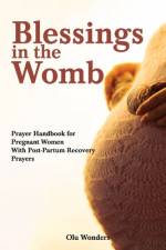 Blessings in the Womb af Olu Wonders