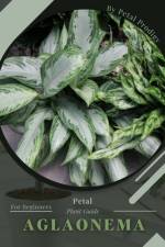 Aglaonema af Petal Prodigy