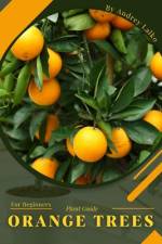 Orange Trees af Andrey Lalko