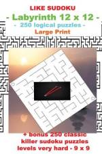 Like Sudoku - Labyrinth 12 X 12 - 250 Logical Puzzles - af Andrii Pitenko