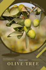 Olive Tree af Andrey Lalko