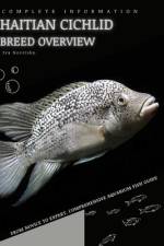 Haitian Cichlid af Iva Novitsky