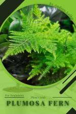 Plumosa Fern af Andrey Lalko