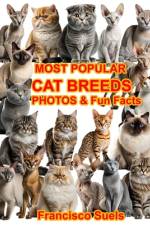 Most Popular Cat Breeds Photos Fun Facts af Francisco Suels
