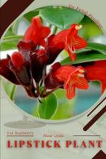 Lipstick Plant af Petal Prodigy