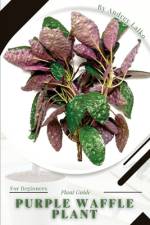 Purple Waffle Plant af Andrey Lalko