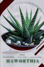 Haworthia af Petal Prodigy