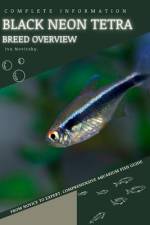 Black Neon Tetra af Iva Novitsky