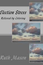 Election Stress af Ruth Mason