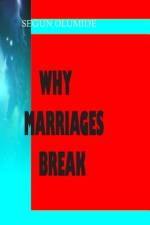 Why Marriages Break af Segun Olumide