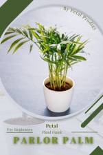 Parlor Palm af Petal Prodigy