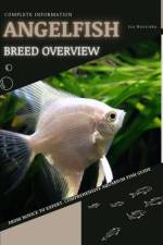 Angelfish af Iva Novitsky