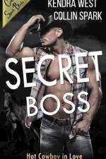 Secret Boss af Jörg Piesker