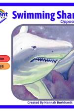 Swimming sharks af Hannah Burkhardt