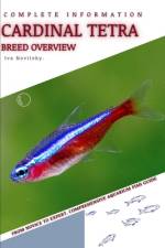 Cardinal Tetra af Iva Novitsky