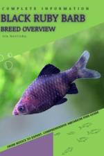 Black Ruby Barb af Iva Novitsky