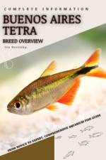 Buenos Aires Tetra af Iva Novitsky