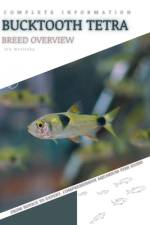 Bucktooth Tetra af Iva Novitsky